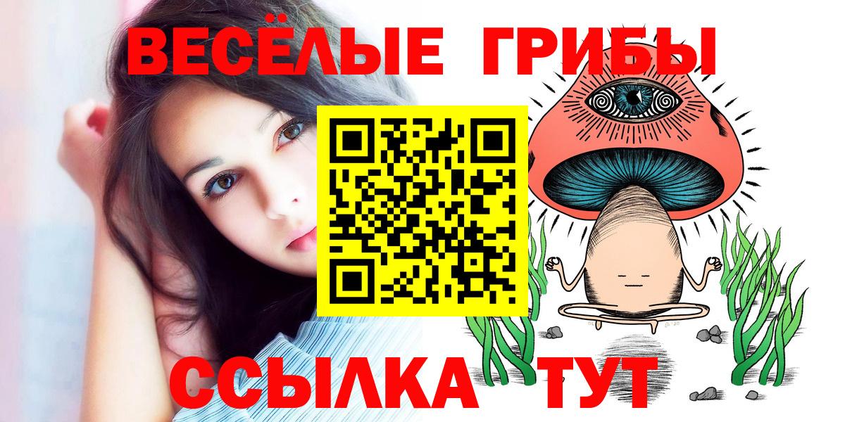 даркнет сайт  Псилоцибиновые грибы Psilocybine cubensis  Вход с VPN  Галлюциногенные грибы прущие грибы  Ахтубинск 